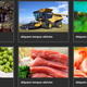 Illustration for article titled Multipurpose Food, Farm Organic WordPress Themeem/em